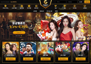 카지노사이트 룸카지노 (ROOM CASINO) 첫가입 꽁머니 정보